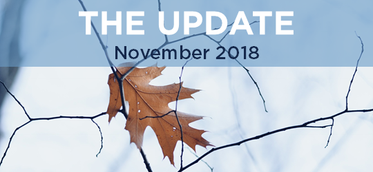 CCNC Update: November 2018