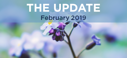 CCNC Update: February 2019