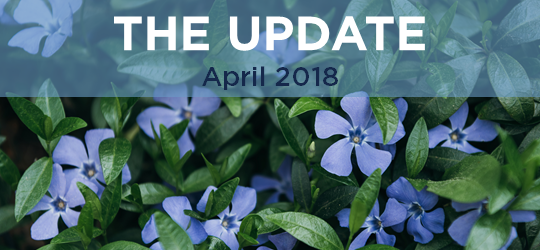 CCNC Update: April 2018